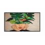 Pantalla digital interactiva philips d-line 43bdl4511d/00 - 42.5'